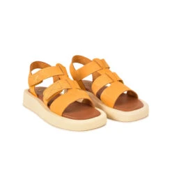 Pataugas ATARI/NU F2I OCRE 10 Pataugas ATARI/NU F2I OCRE -Pataugas SANDALE FEMME ATARI NU F2I OCRE 628448 251 4 0fc7fac9 5088 4f30 8f1a 4cc7a3bacf39